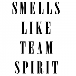 TeamSpirit II, Hoodie